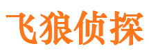 那坡市私家侦探